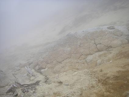 f0202990_23473160.jpg