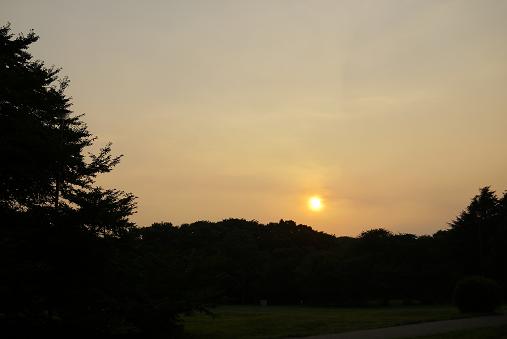a0091891_2025610.jpg