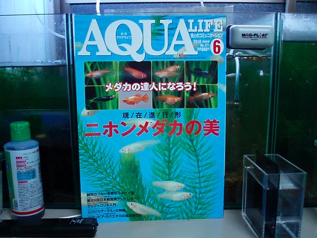 e0192991_21394189.jpg