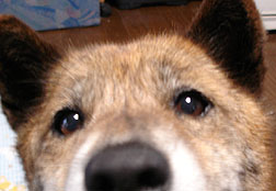 a0164292_033798.jpg