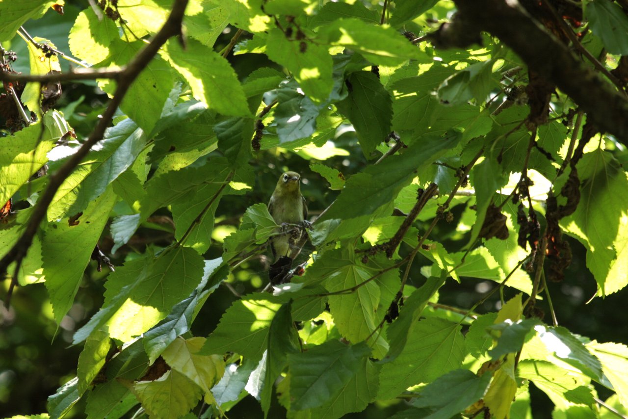 e0167295_2350543.jpg