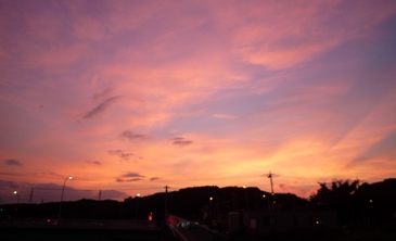 c0168096_6425037.jpg