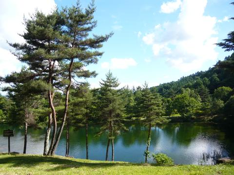 a0167397_22264090.jpg