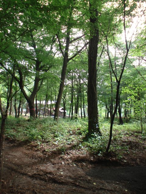 a0061599_0403766.jpg