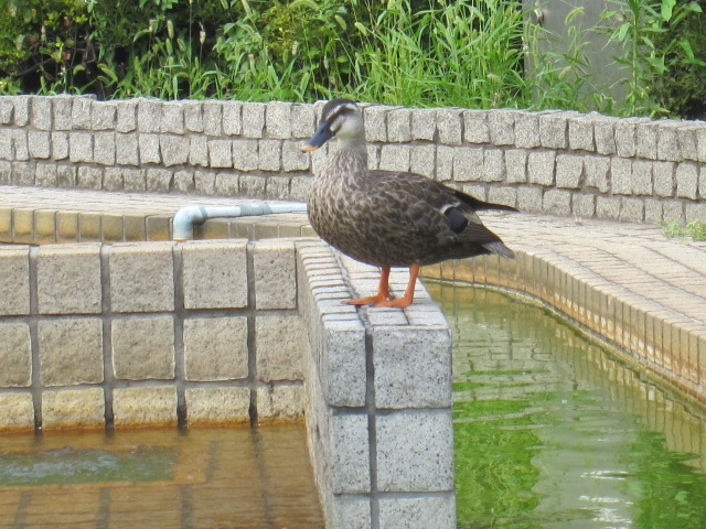 a0075800_14465680.jpg