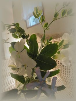 c0152002_17362531.jpg