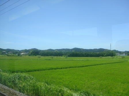 a0167803_1101730.jpg