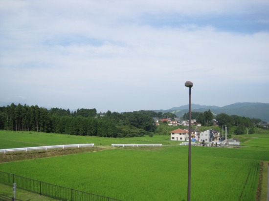 e0183804_1761598.jpg