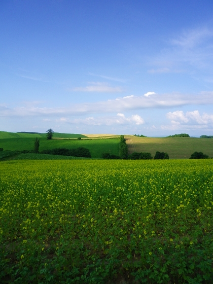 f0065604_2212332.jpg