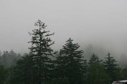 f0041606_19302033.jpg