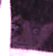e0103408_1410630.gif