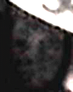 e0103408_14192582.gif