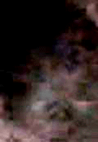e0103408_1419541.gif