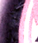 e0103408_14201070.gif