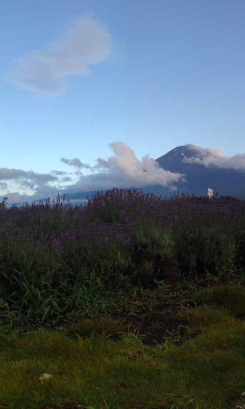 b0184211_9572554.jpg