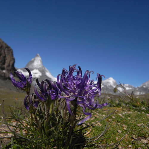c0026612_9351472.jpg