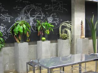 f0151113_155343.jpg