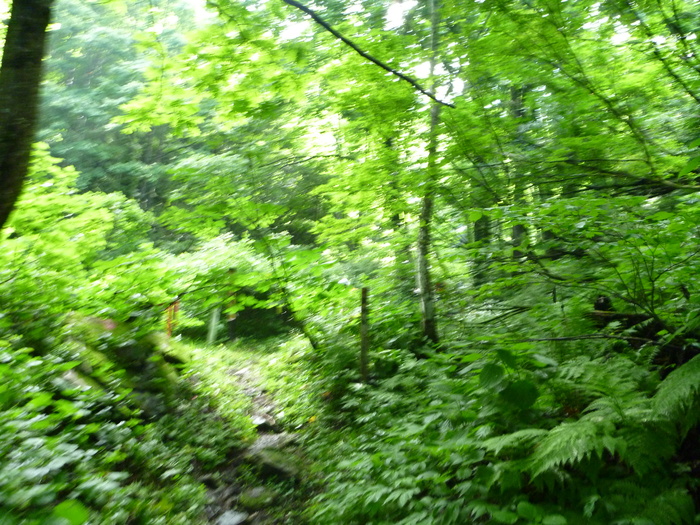 f0225414_0314732.jpg