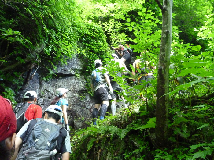 f0225414_0415838.jpg