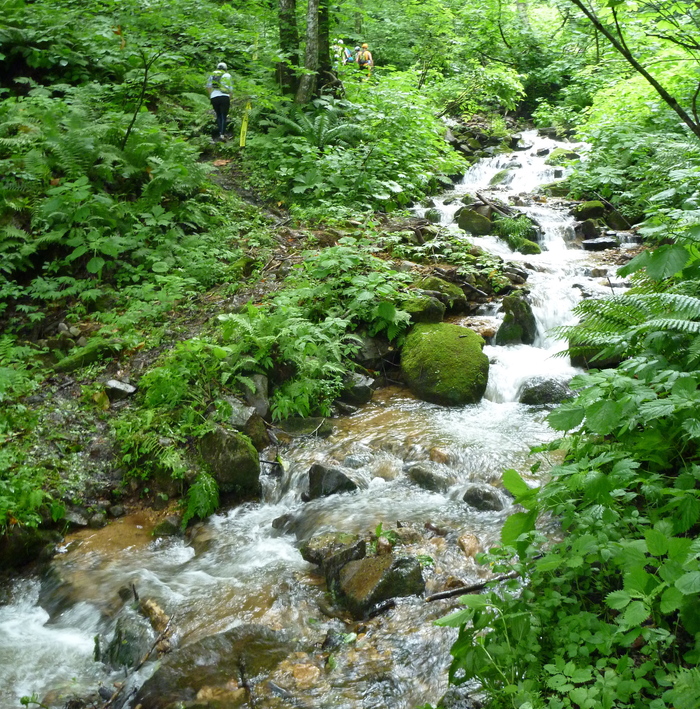 f0225414_055424.jpg