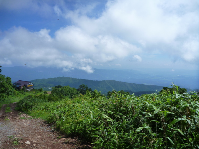 f0225414_16062.jpg