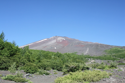 b0093515_7414085.jpg