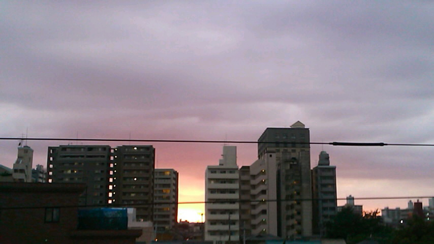 f0055423_3105536.jpg