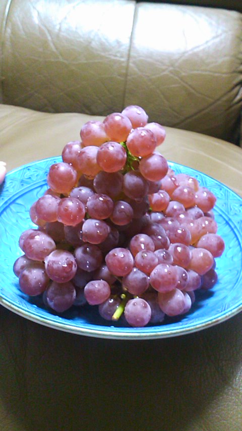f0055423_310559.jpg