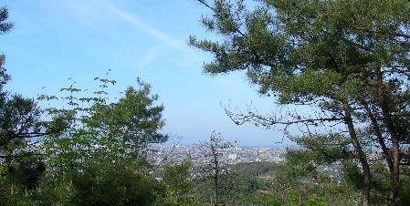 f0213825_955725.jpg
