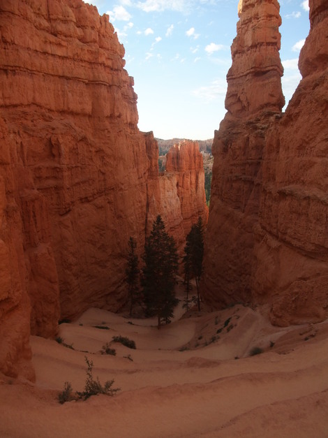 f0238932_651610.jpg