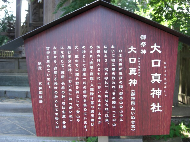 a0163738_146577.jpg