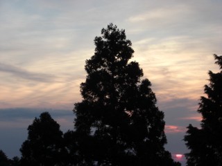 a0163738_1534881.jpg