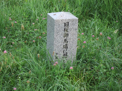 d0156438_8442586.jpg