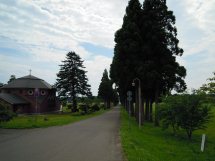 e0067640_13253865.jpg