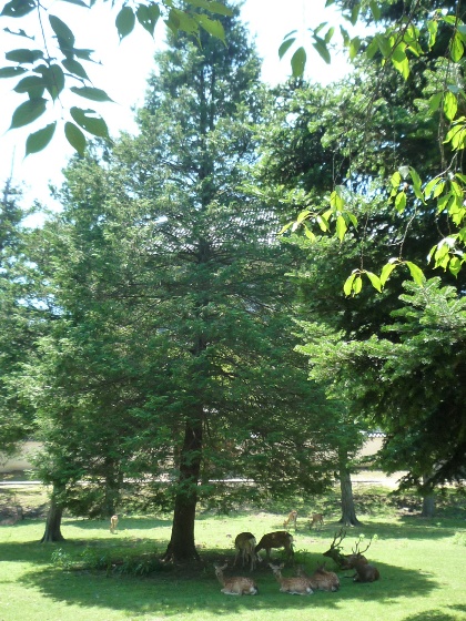 b0041442_23464230.jpg