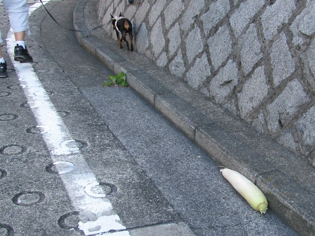 e0150843_15234714.jpg