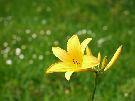 c0057946_232116100.jpg