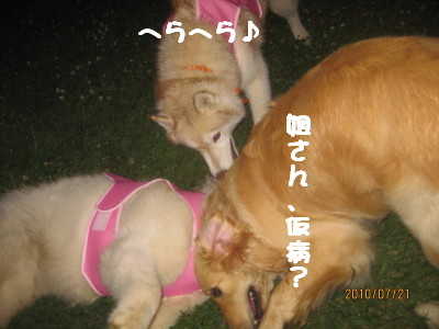 e0121548_17104098.jpg