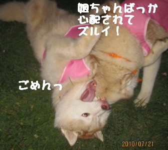 e0121548_17174074.jpg