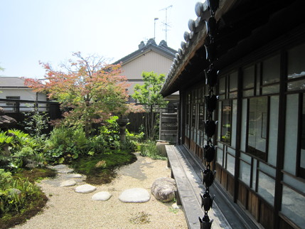 d0155853_1414860.jpg