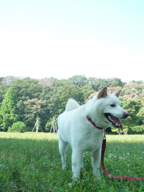 f0177261_15513695.jpg