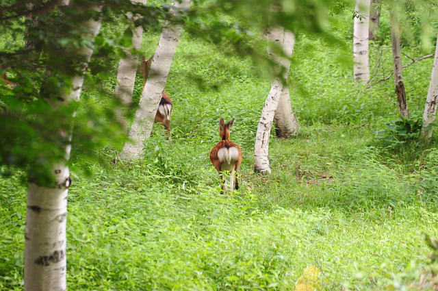 f0222161_214149.jpg