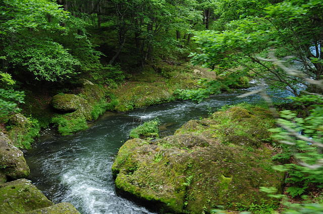 f0222161_21433.jpg