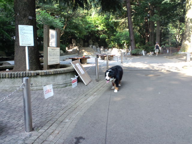 c0177668_21304490.jpg