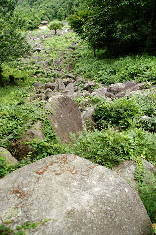e0045768_22344335.jpg