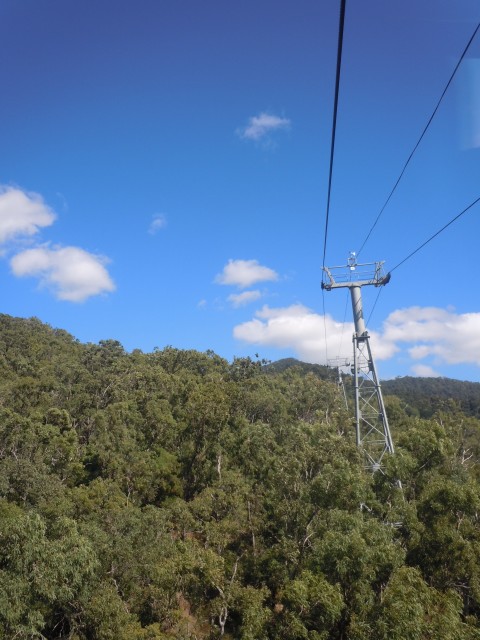 c0110871_13492915.jpg