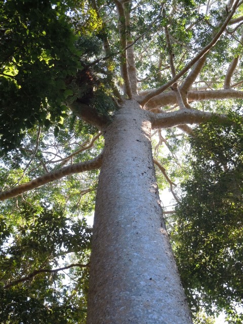 c0110871_13501854.jpg