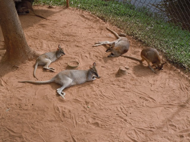 c0110871_13503567.jpg