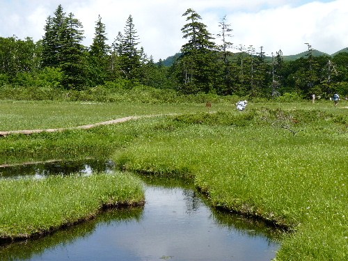 d0084473_20261521.jpg