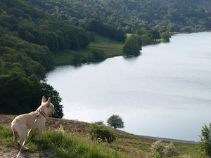 d0041074_1013939.jpg